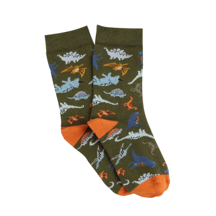 Pair of socks with dinosaur pattern on a white background