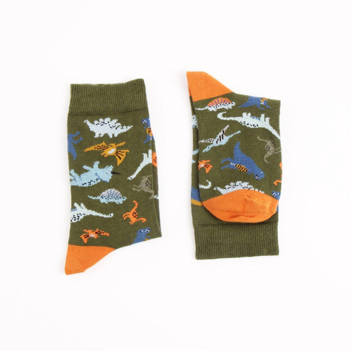 Green socks with dinosaur pattern on a white background