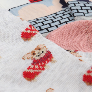 Corgi Christmas Sock Gift Box - Corgi Socks