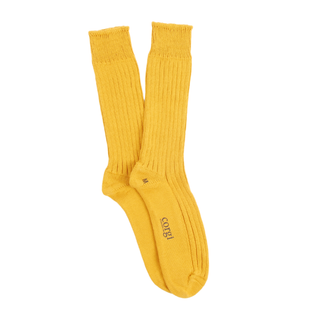 Pair of yellow socks on a white background