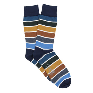 Pair of striped socks with tonal blue and brown colorus on a white background