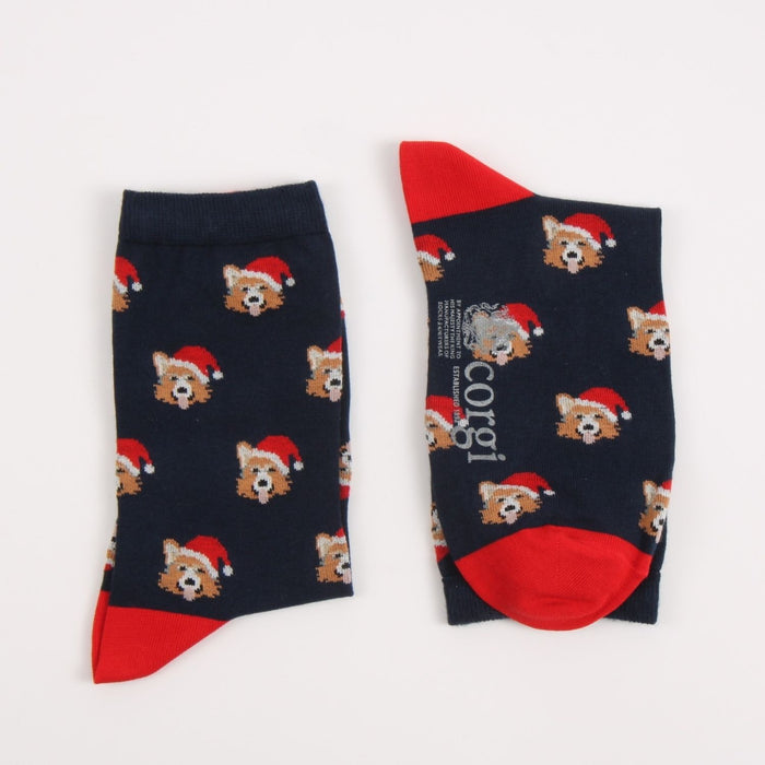 Navy socks with red accents and corgi dog wearing a Christmas hat photographed on a white background