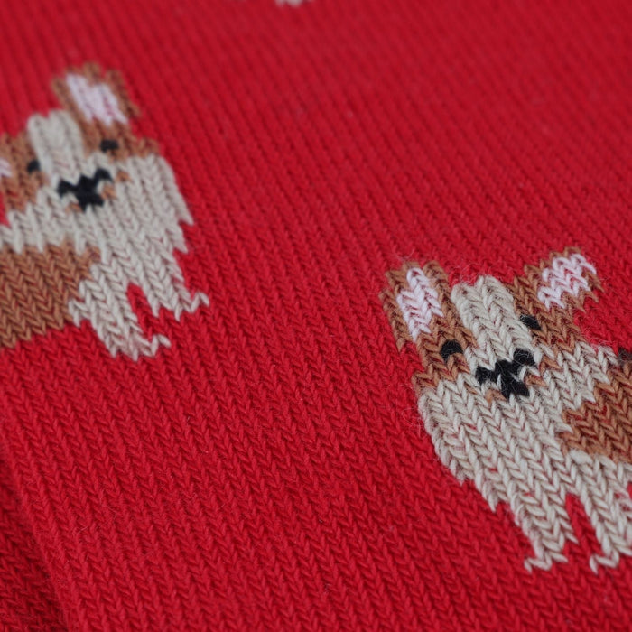 Children's Corgi Dog Cotton Socks - Corgi Socks