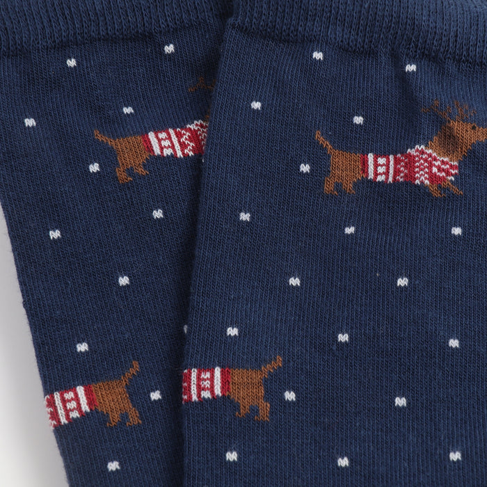 Dachshund Socks - Corgi Socks