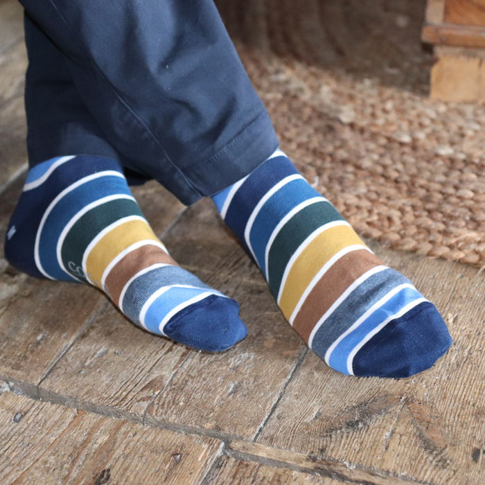 striped socks in tones of blue with a fine white stripe between each colour
