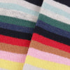 Women's Doctor Who Stripe Cotton Socks - Corgi Socks