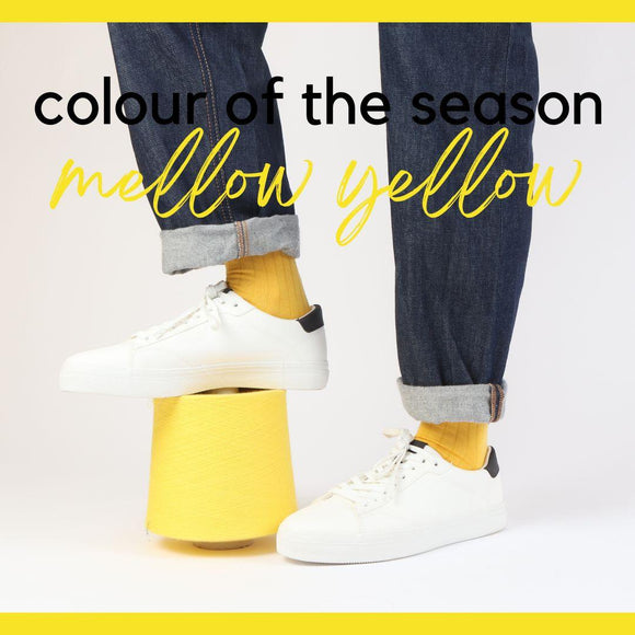 Colour of the Season: Yellow - Corgi Socks