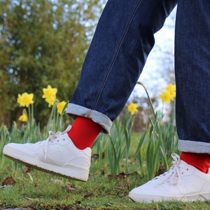 Women's Pembroke Mercerised Cotton Socks