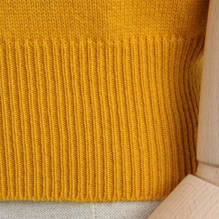 Men's V Neck Sleeveless Sweater - Corgi Socks