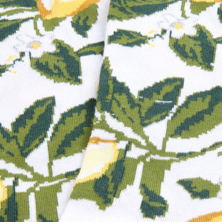 Close-up of a fabric with green leaf pattern on a white background