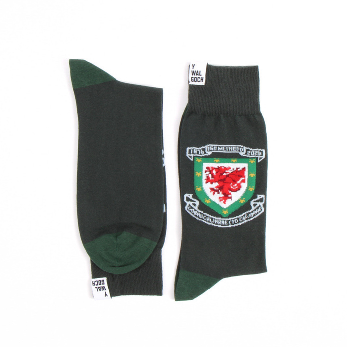 Two socks with a logo on a white background