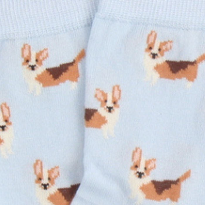 Kids Corgi Dog Cotton Socks