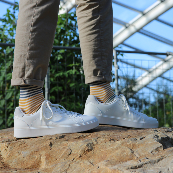 Men's Multi Stripe Cotton Socks