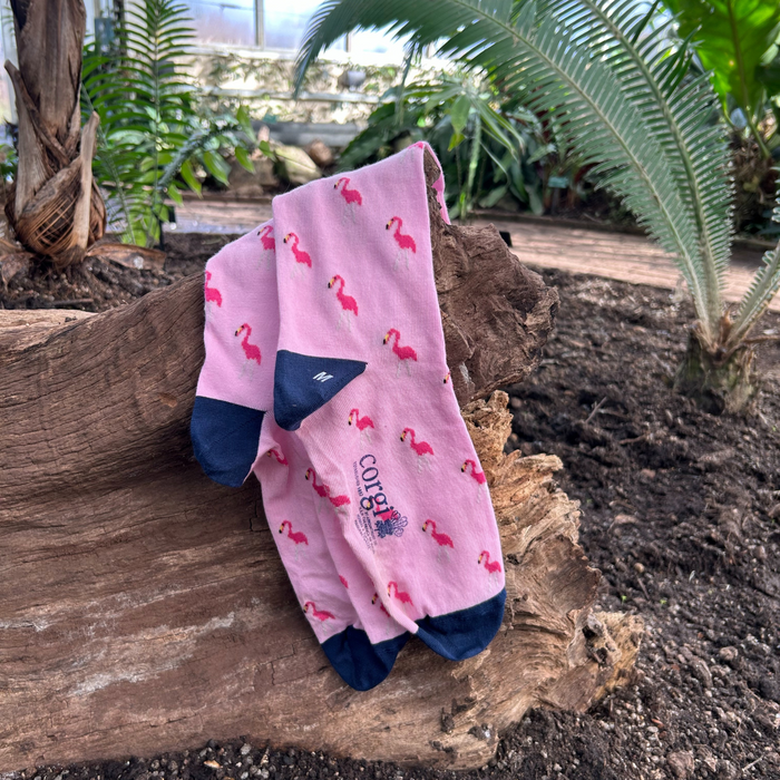 Men's Pink Flamingo Cotton Socks 