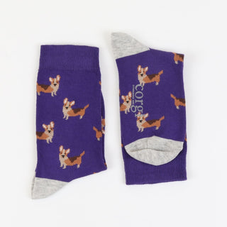 Children's Royal Collection Corgi Dogs Cotton Socks - Corgi Socks