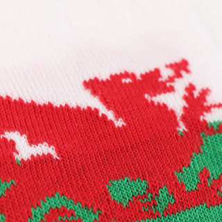 Children's Welsh Flag Cotton Socks - Corgi Socks