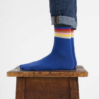 Men's Doctor Who Stripe Cotton Socks - Corgi Socks