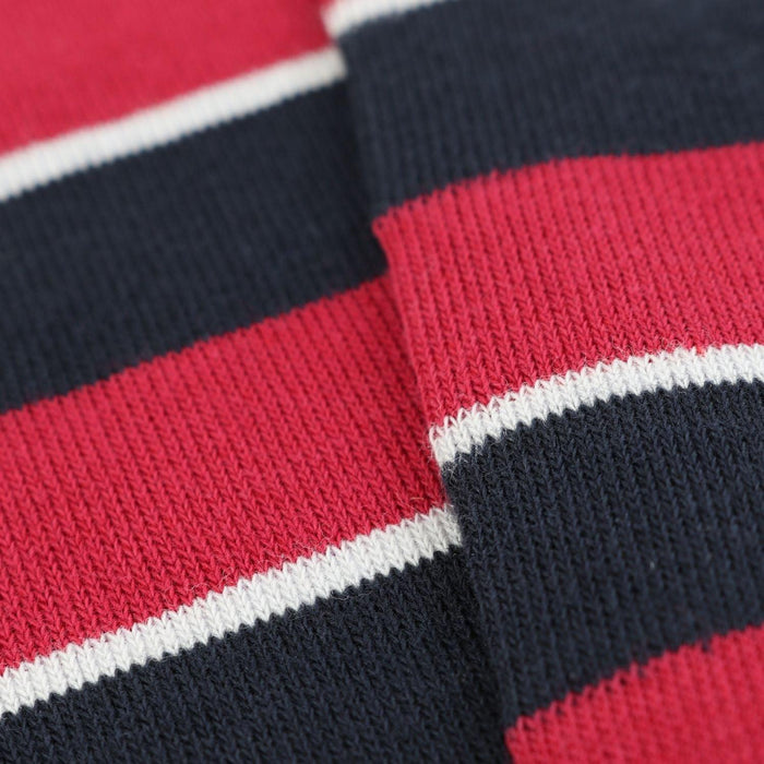 Queen's Dragoon Guards Regimental Cotton Socks - Corgi Socks