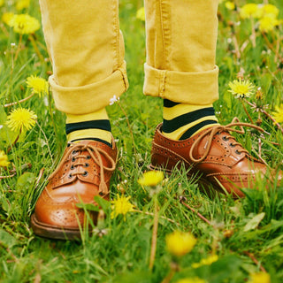 Queen's Own Yeomanry Regimental Cotton Socks - Corgi Socks