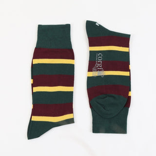 Royal Dragoon Guards Regimental Cotton Socks - Corgi Socks