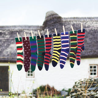 Royal Regiment of Scotland Regimental Cotton Socks - Corgi Socks